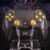 Full Custom For PS5